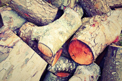 Botley wood burning boiler costs